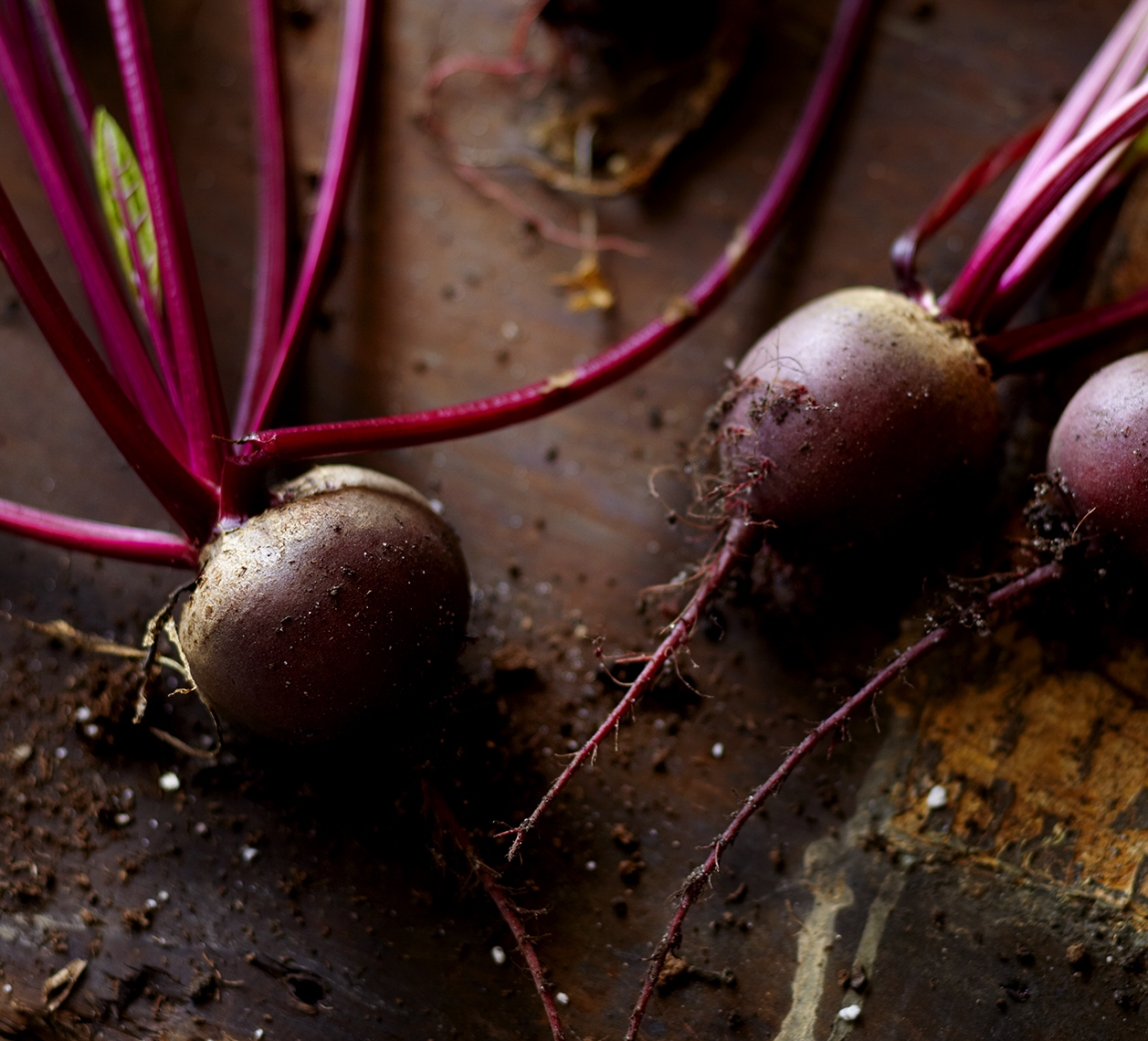 Beets just pulled from the garden