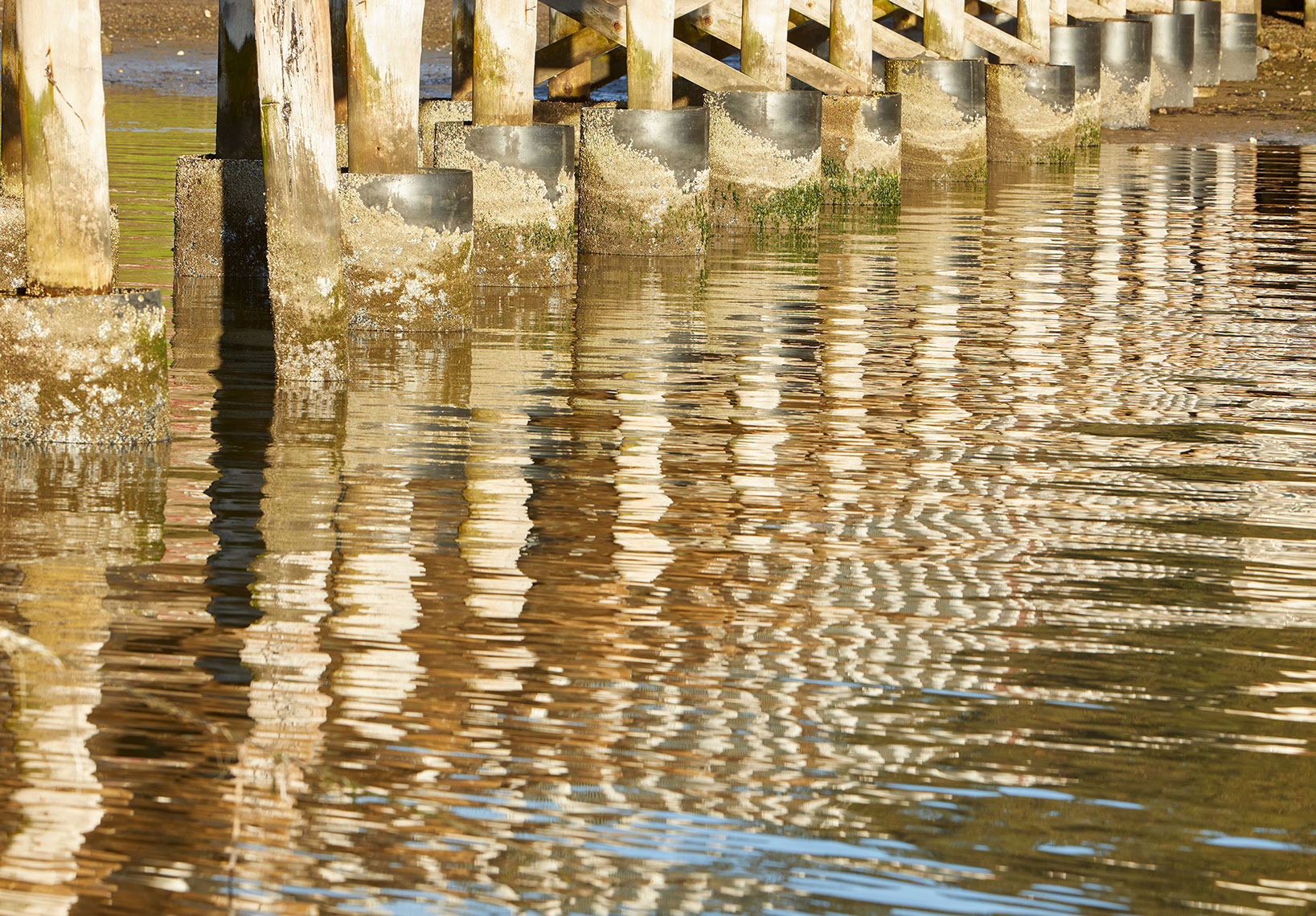 Piers reflecting in Tomales Bay