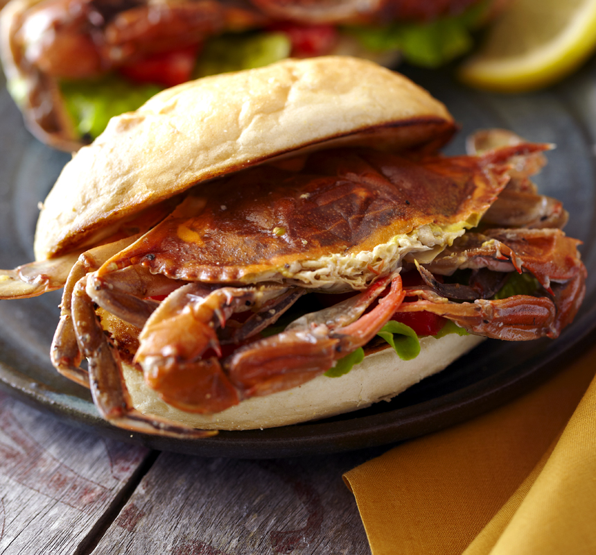 SoftShell Crab Sandwich
