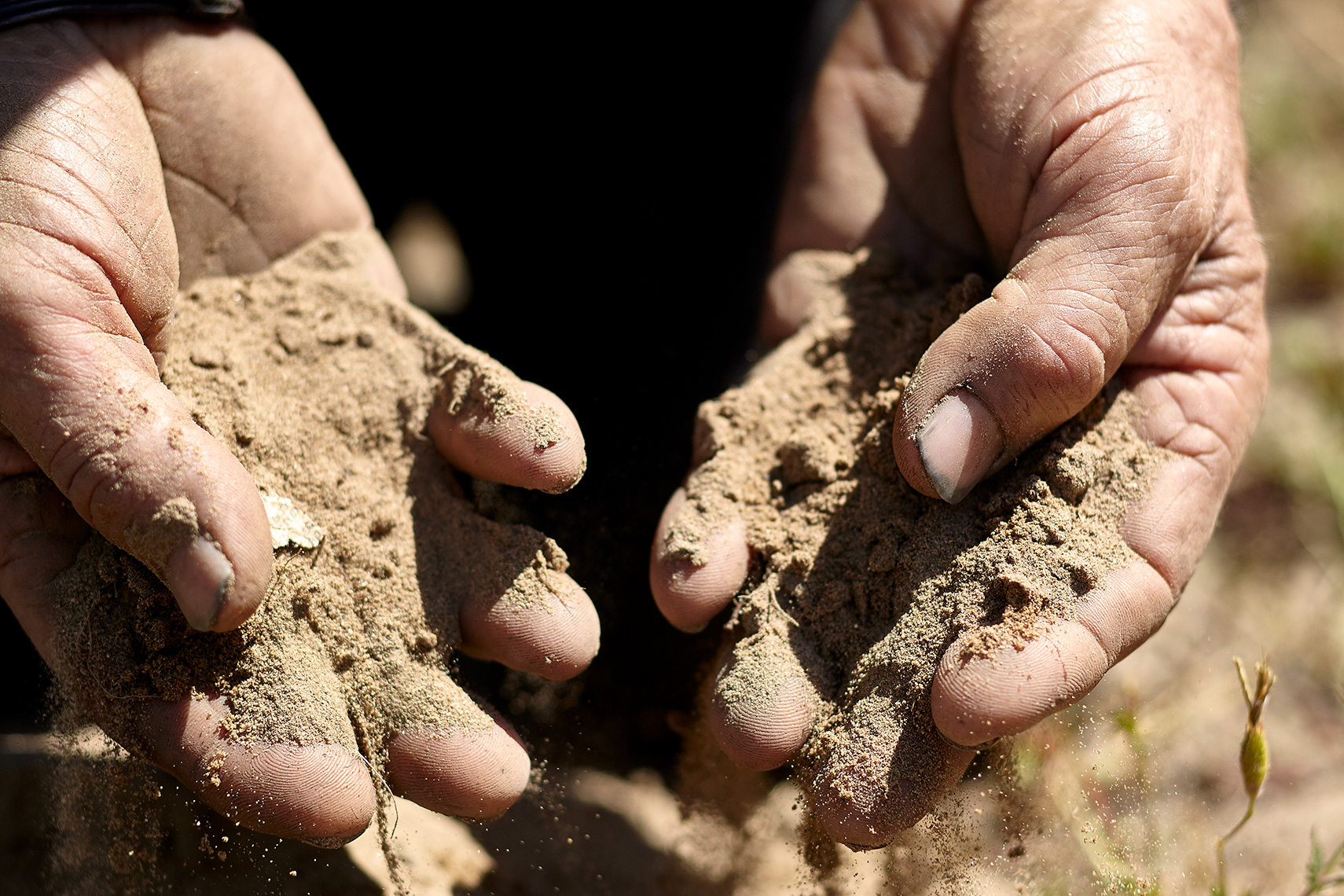 Vineyard_Sand