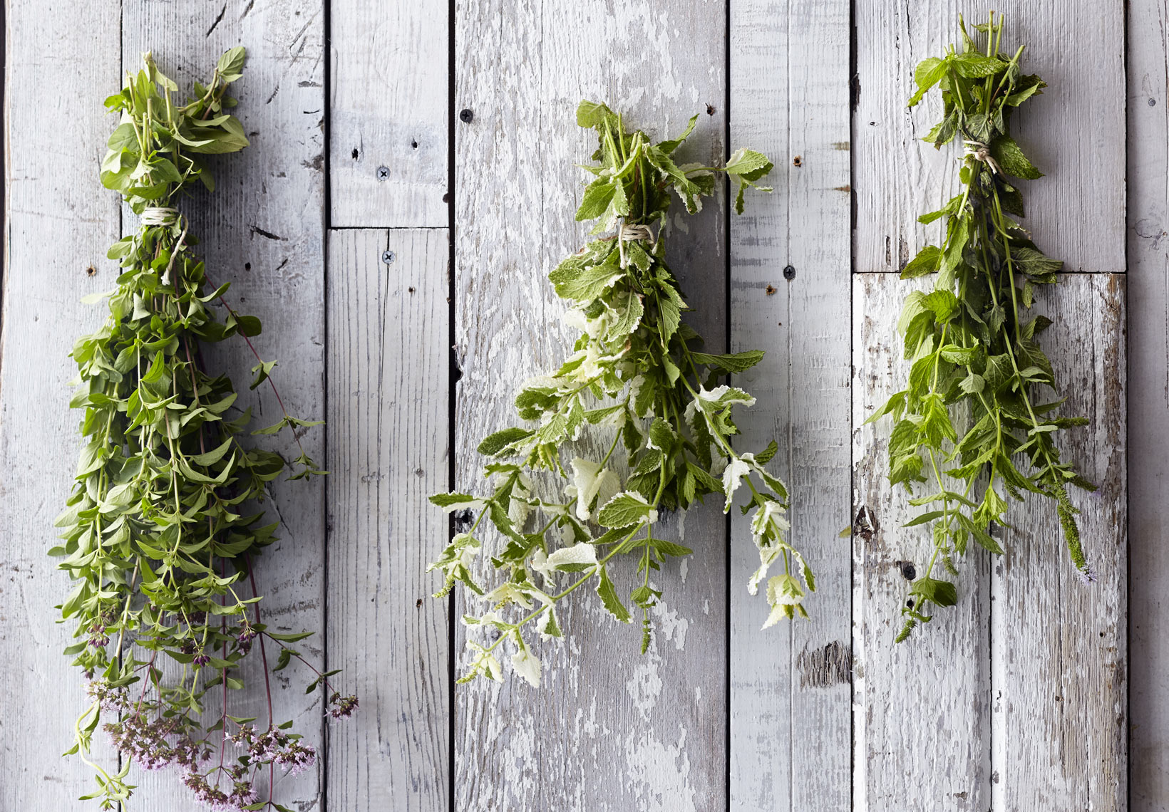 herbs-2.jpg